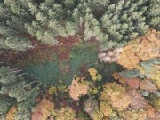 DJI_0403.JPG
