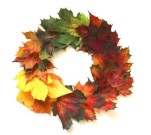 leaves-2854366_640.jpg